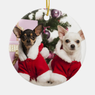 Chihuahua, der einen WeihnachtsAnzug sitzt und Keramik Ornament