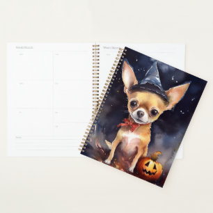 Chihuahua d'Halloween avec la peur Citrouille