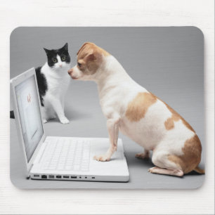 Chihuahua, die den Schirm eines Laptops Mousepad