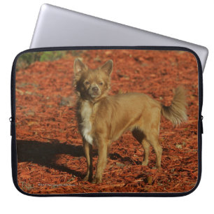 Chihuahua, die Kamera betrachten Laptopschutzhülle