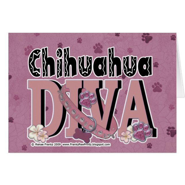 Chihuahua DIVA (Vorderseite (Horizontal))