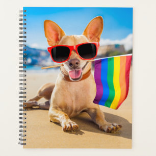 Chihuahua Dog à la plage
