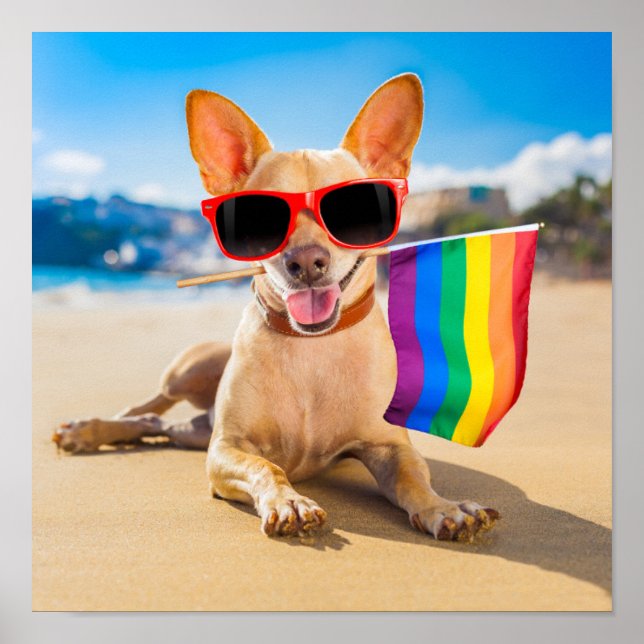 Chihuahua Dog am Strand Poster (Vorne)