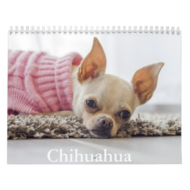 Chihuahua Dog Calendar Kalender (Titelbild)