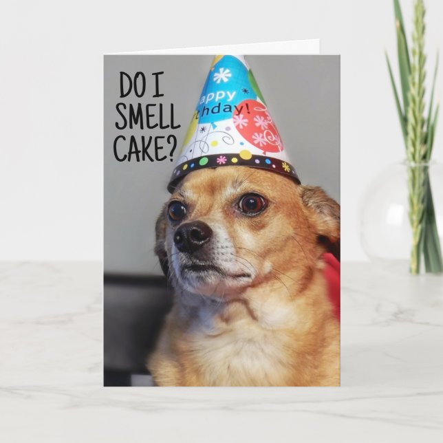 CHIHUAHUA DOG FUNNY BIRTHDAY CARD DANKESKARTE (Vorderseite)