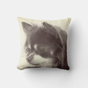 Chihuahua Dog Portrait Kissen