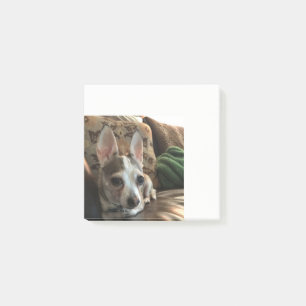 Chihuahua Dog Post it Notes Post-it Klebezettel