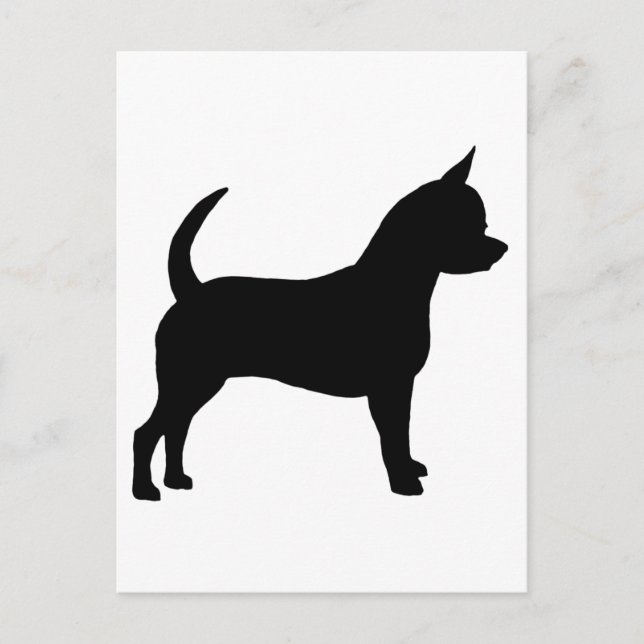 Chihuahua Dog Postkarte (Vorderseite)