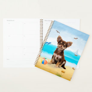 Chihuahua Dog sur la plage