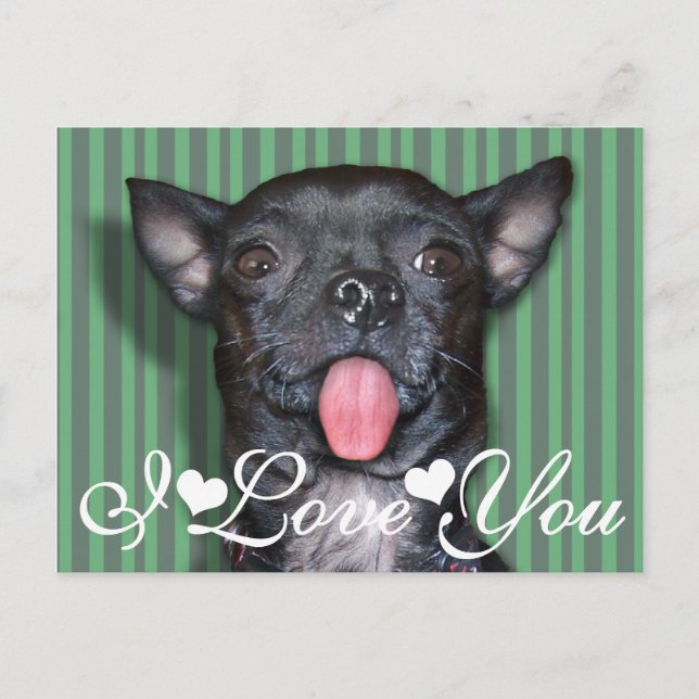 Chihuahua Dog Tongue I Liebe You Postkarte (Vorderseite)