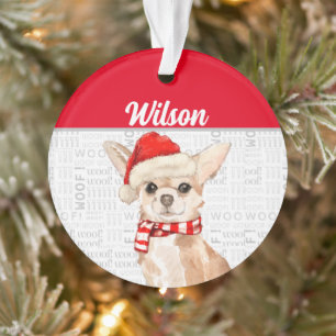 Chihuahua Dog with Name and Photo