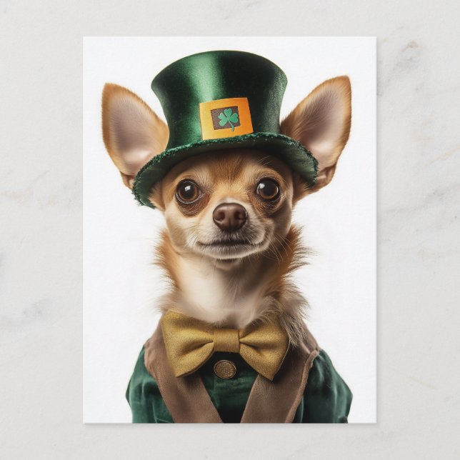 Chihuahua Dressed Leprechaun St Patrick's Day Postkarte (Vorderseite)