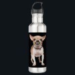 Chihuahua edelstahlflasche<br><div class="desc">Chihuahua</div>