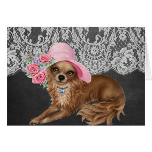 Chihuahua en Casquette