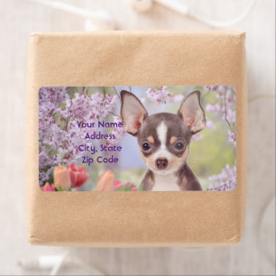 Chihuahua expédition de chiens étiquettes