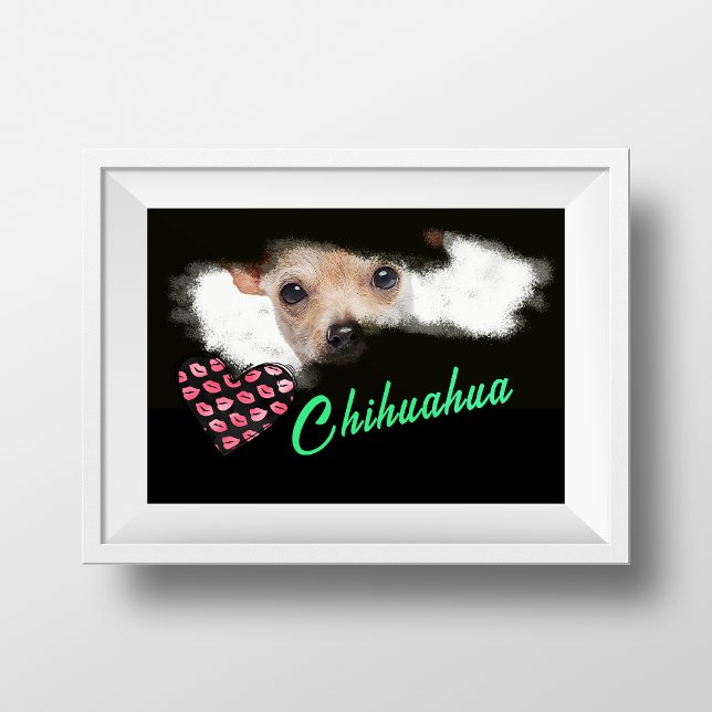 Chihuahua Eyes mit kurzer Haarfarbe Poster (Von Creator hochgeladen)