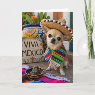 Chihuahua-Fest-Grußkarte Karte