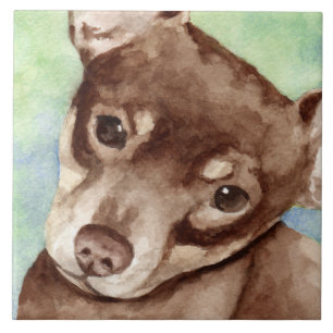 Chihuahua Fliese