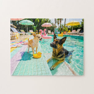 Chihuahua gegen Schäferhund-Ente
