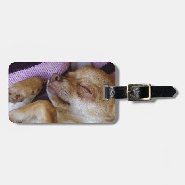 Chihuahua Gepäckanhänger (Vorderseite horizontal)