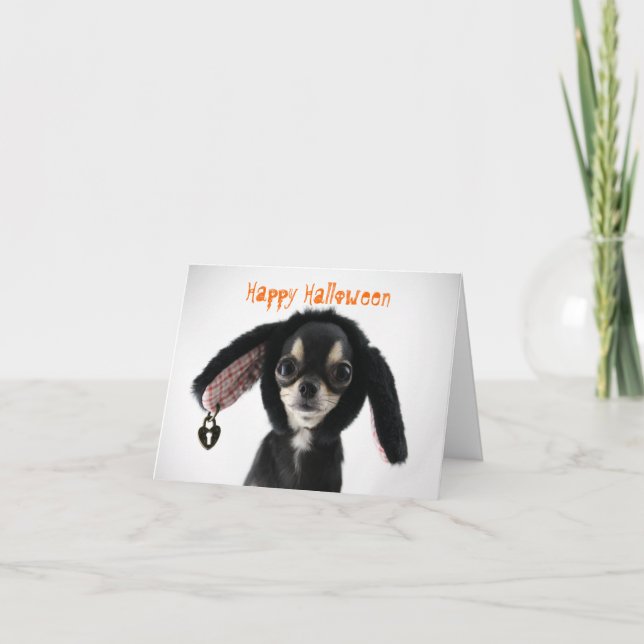 Chihuahua Halloween Grußkarte Feiertagskarte (Vorderseite)