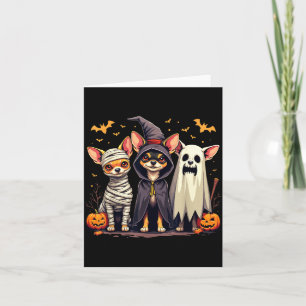 Chihuahua Halloween-Kostüm Mumie Hexe Geist Hund Karte