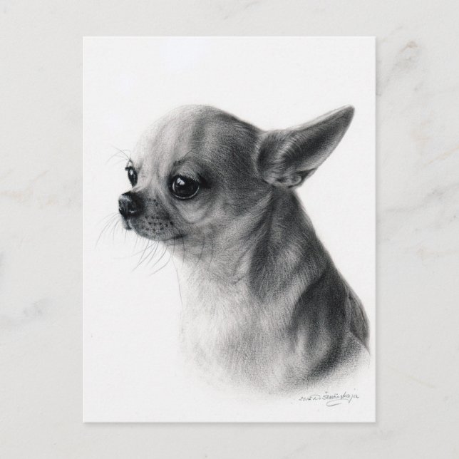 Chihuahua-Handgemälde Postkarte (Vorderseite)