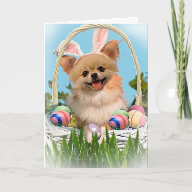Chihuahua Happy Oaster Cards Feiertagskarte (Vorderseite)