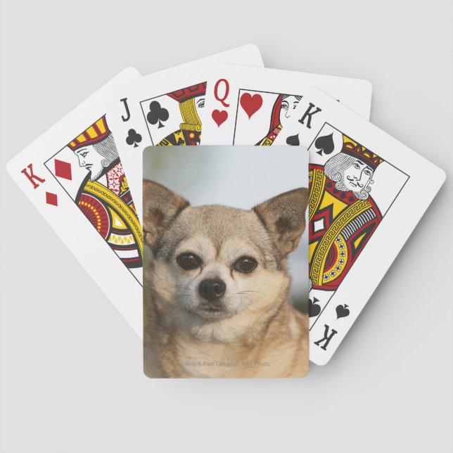 Chihuahua Headshot Spielkarten (Rückseite)