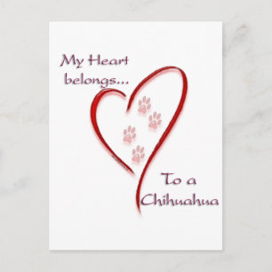 Chihuahua Heart Belongs Postkarte