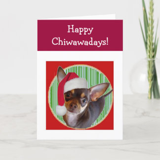 Chihuahua Holiday Card Feiertagskarte