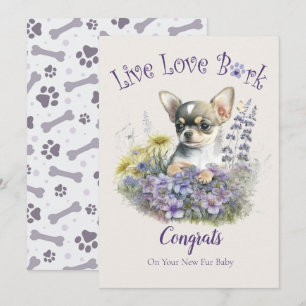 Chihuahua Hund Adoption, Gotcha Tag Karte