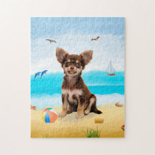 Chihuahua-Hund am Strand