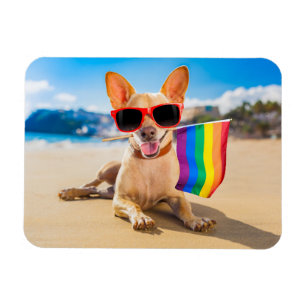 Chihuahua Hund am Strand Magnet
