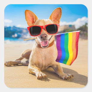 Chihuahua Hund am Strand Quadratischer Aufkleber