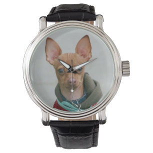 Chihuahua-Hund Armbanduhr