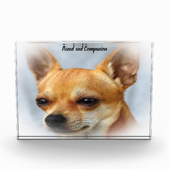 Chihuahua Hund. Fotoblock (Vorderseite)