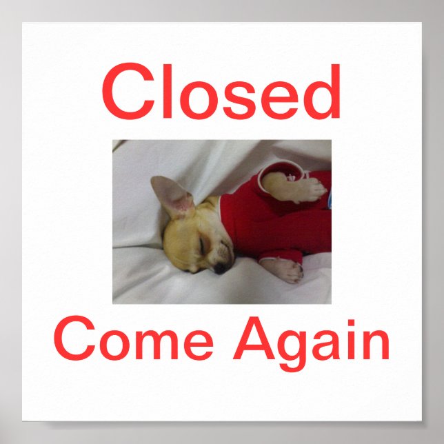 Chihuahua Hund geschlossen Sign Sleeping Poster (Vorne)