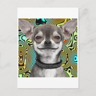 Chihuahua-Hund lächeln Postkarte