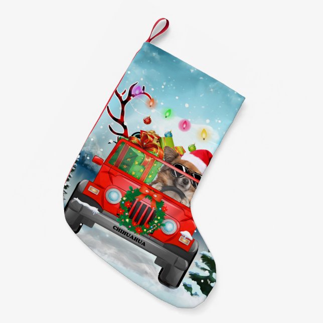 Chihuahua Hund mit Weihnachtsgeschenken Kleiner Weihnachtsstrumpf (Vorderansicht (hängend))