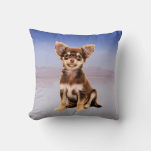 Chihuahua-Hund sitzt am Strand Kissen