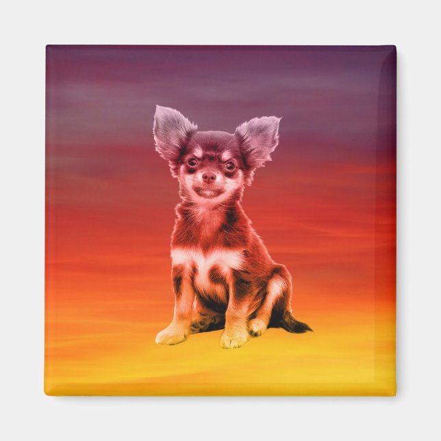 Chihuahua-Hund sitzt am Strand Magnet (Vorne)