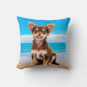 Chihuahua Hund sitzt am tropischen Strand Kissen
