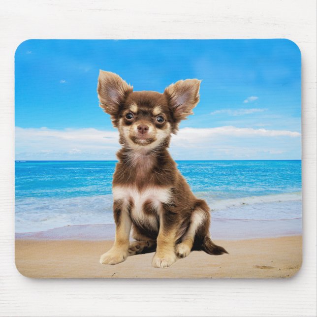 Chihuahua Hund sitzt am tropischen Strand Mousepad (Vorne)
