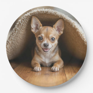 Chihuahua Hund unter einer Rug Pappteller