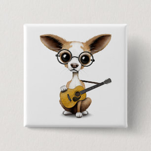 Chihuahua-Hündchen, das alte Akustikgitarre spiel Button