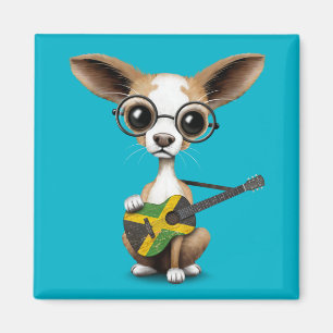 Chihuahua-Hündchen, das jamaikanische Magnet