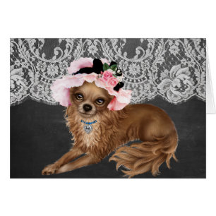 Chihuahua-Hunde, die Hats tragen