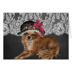 Chihuahua-Hunde, die Hats tragen