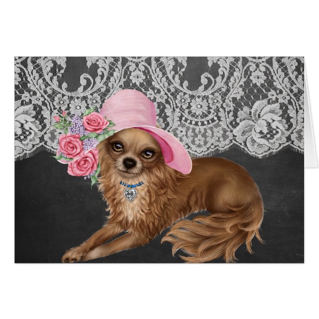 Chihuahua-Hunde, die Hats tragen (Vorderseite (Horizontal))